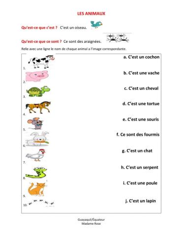 Qu'est-ce que c'est? + les animaux
