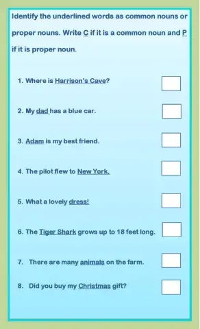 Common and Proper Nouns