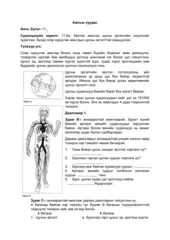 Worksheet 11 grade Circulatory system