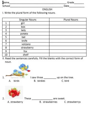 Singular and plural nouns