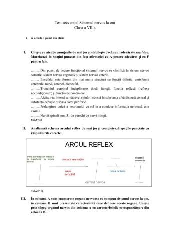 Test secvențial Sistemul nervos la om