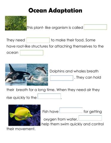 Ocean Animals Adaptation