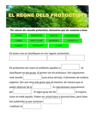 Break out Regne Protoctists