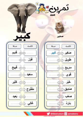 الكلمة وضدها