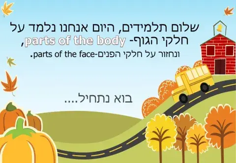 חלקי גוף Parts of the body