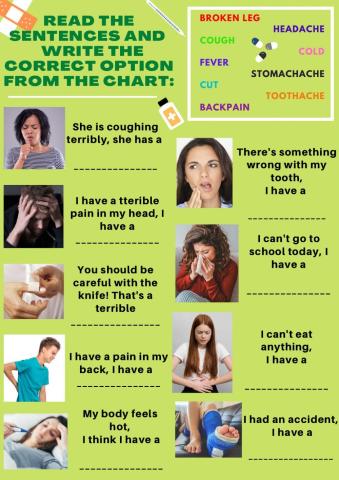 Worksheet ilness injuries
