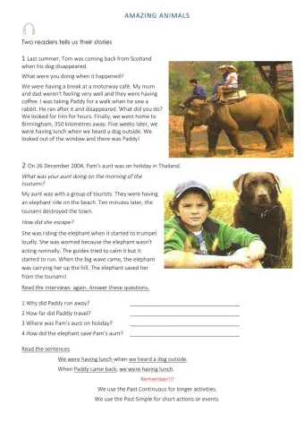 Simple Past vs Past Continuous