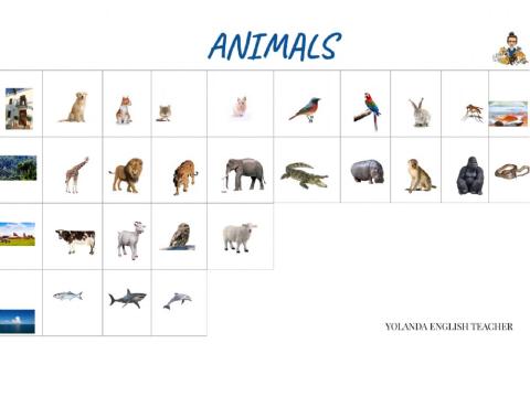 Animals (4th grade)