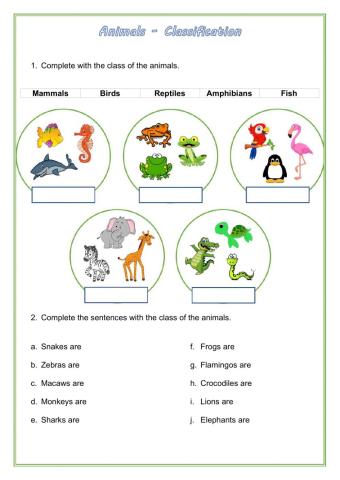 Wild animals - Classification