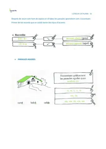 Accentuació paraules agudes