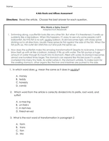 4.4b Roots and Affixes Assessment
