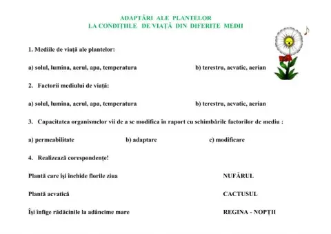 Adaptări  ale  plantelor  la condițiile   de viață  din  diferite  medii