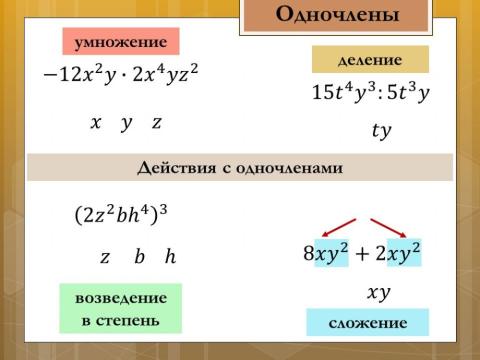 Действия с одночленами1