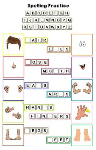 Spelling Practice parts of the body