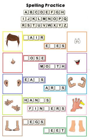 Spelling Practice parts of the body