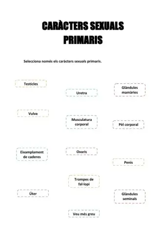 Caràcters sexuals primaris