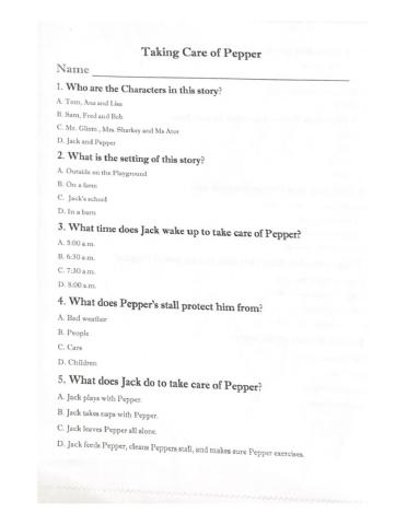 Taking Care of Pepper Comprehension Test