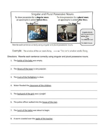 Singular and Plural Possessive Nouns