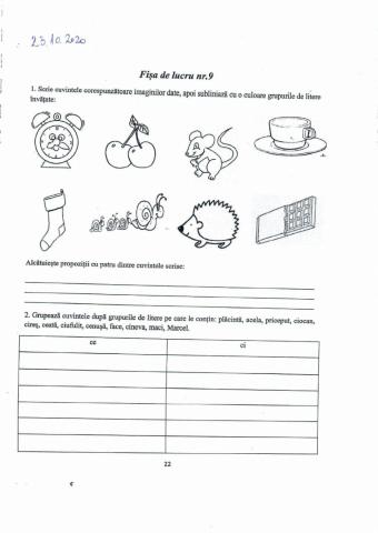 Grupurile de litere ce-ci