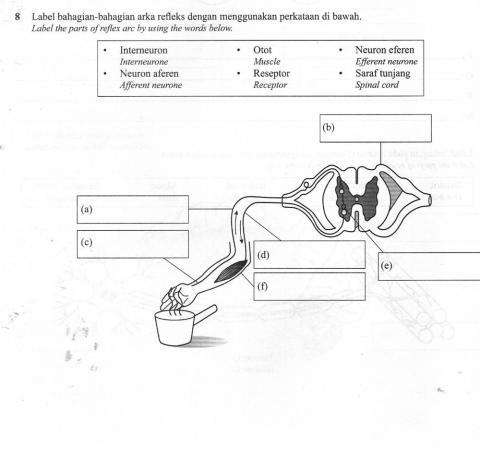 Coordination and Responses