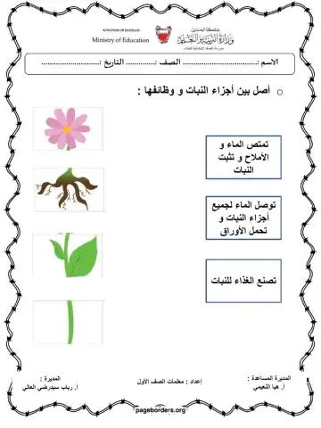 نشاط درس النباتات و أجزاءها