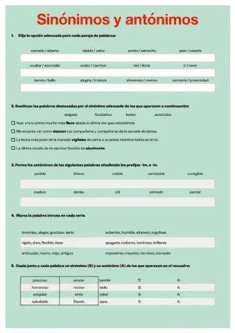 Sinónimos y antónimos