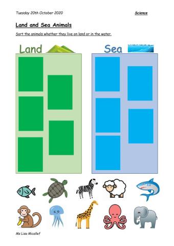 Land or Sea Animals