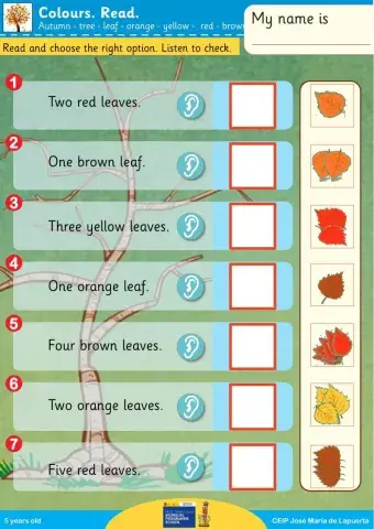 Autumn leaves colours