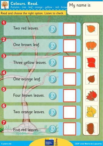 Autumn leaves colours