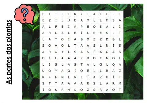 As partes das plantas