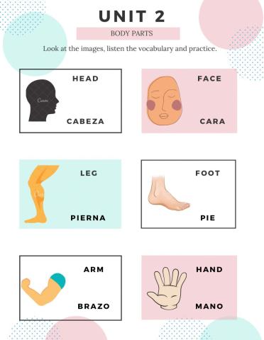 Body parts - Vocabulary