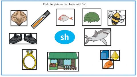 Sh digraph activity 1