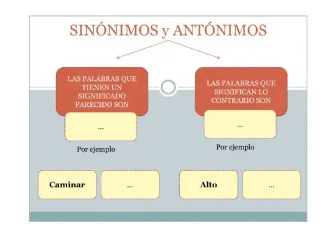 SINÓNIMOS, ANTÓNIMOS, SUJETO, PREDICADO , Z Y K