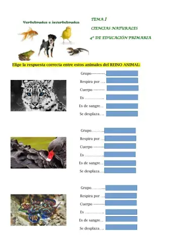 Los animales
