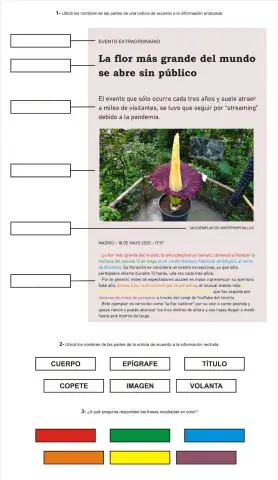 Las partes de la noticia