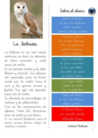 Comprensión lectora 3º EP 03 LA LECHUZA