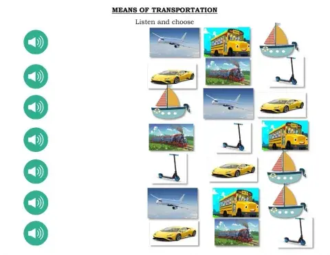 Means of transportation