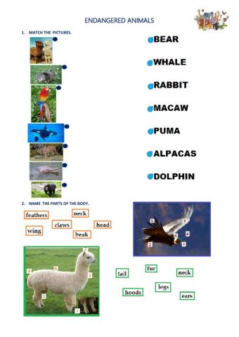 Endangered animals