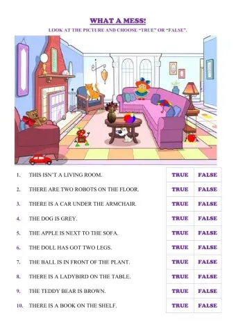 House - Revision - True or False
