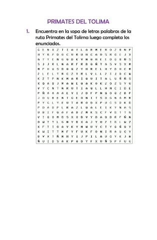 Primates Del Tolima