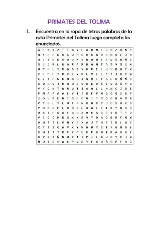 Primates Del Tolima
