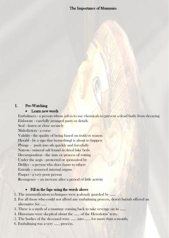 The Importance of Mummies