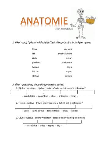 Pracovní list - anatomie