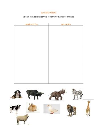 Clasificacion