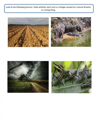 Changes to an ecosystem: natural