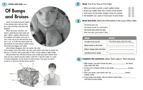 Reading Comprehension