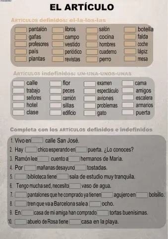 Los Articulos Definidos e Indefinidos-Grade 8