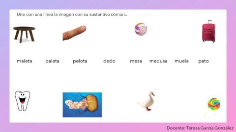 Une al sustantivo común con su imágen.