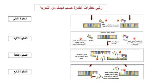 تفاعل البلمرة