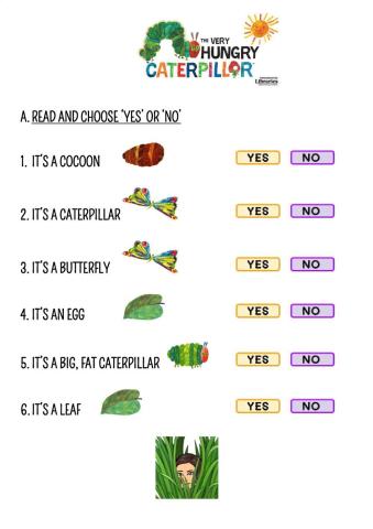 THE VERY HUNGRY CATERPILLAR by Miss Anabel